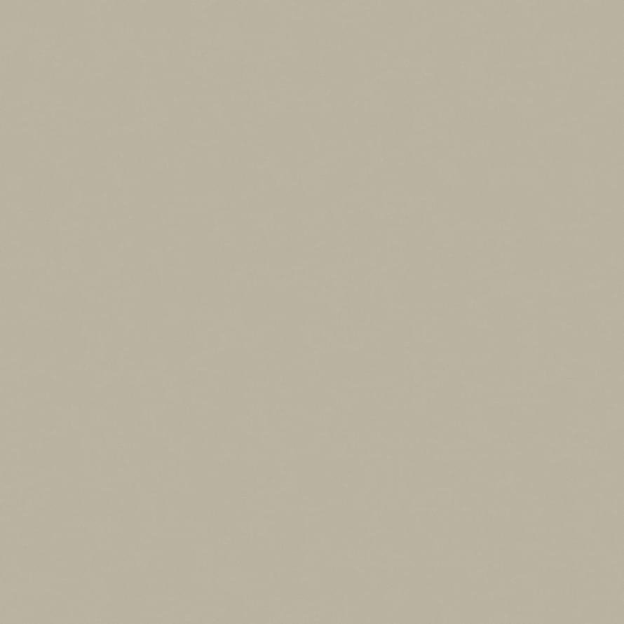 Saloni Proyeccion Gris Antid C2 60x60