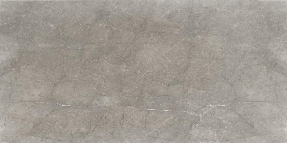 Cerdomus Mexicana Grey Levigato 60x120