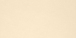 Casalgrande Padana Unicolore Bianco Avorio Levigato 60x120