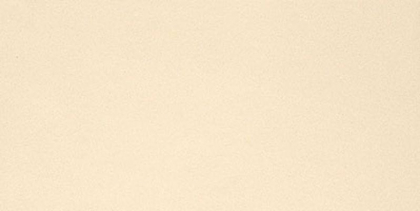 Casalgrande Padana Unicolore Bianco Avorio Levigato 60x120