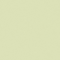 CE.SI Matt Fieno 10x10