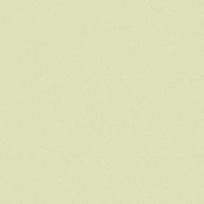 CE.SI Matt Fieno 10x10