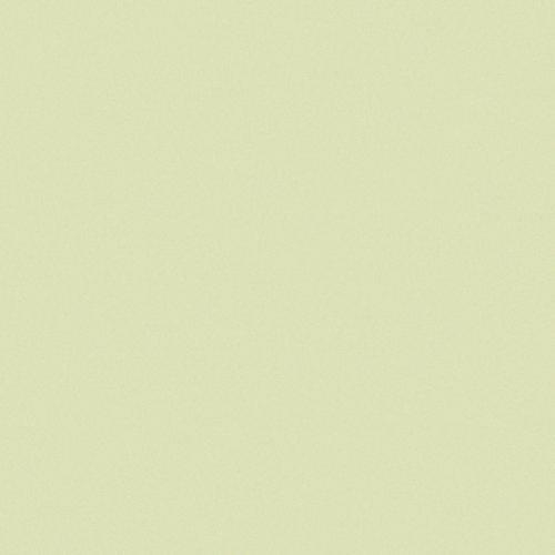 CE.SI Matt Fieno 10x10