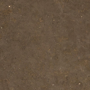 Graniti Fiandre Solida Brown Strutturato 100x100
