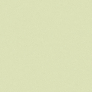 CE.SI Matt Fieno 20x20