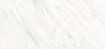 Graniti Fiandre Marmi Maximum Premium White Levigato 154x328