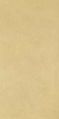 Imola Retina Senape 60x120