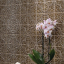 Ceramiche Grazia Formelle Algarve Ambra Craquele 13x13