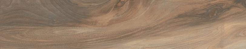 Cerdomus Savanna Honey 20x100