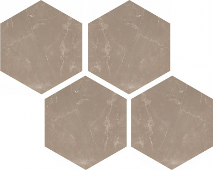 Casalgrande Padana Marmoker Esagoni Pulpis Tortora Lucido 21.5x25