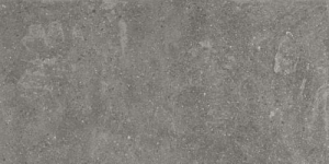 Aparici Lithops Grey Natural 49.75x99.55
