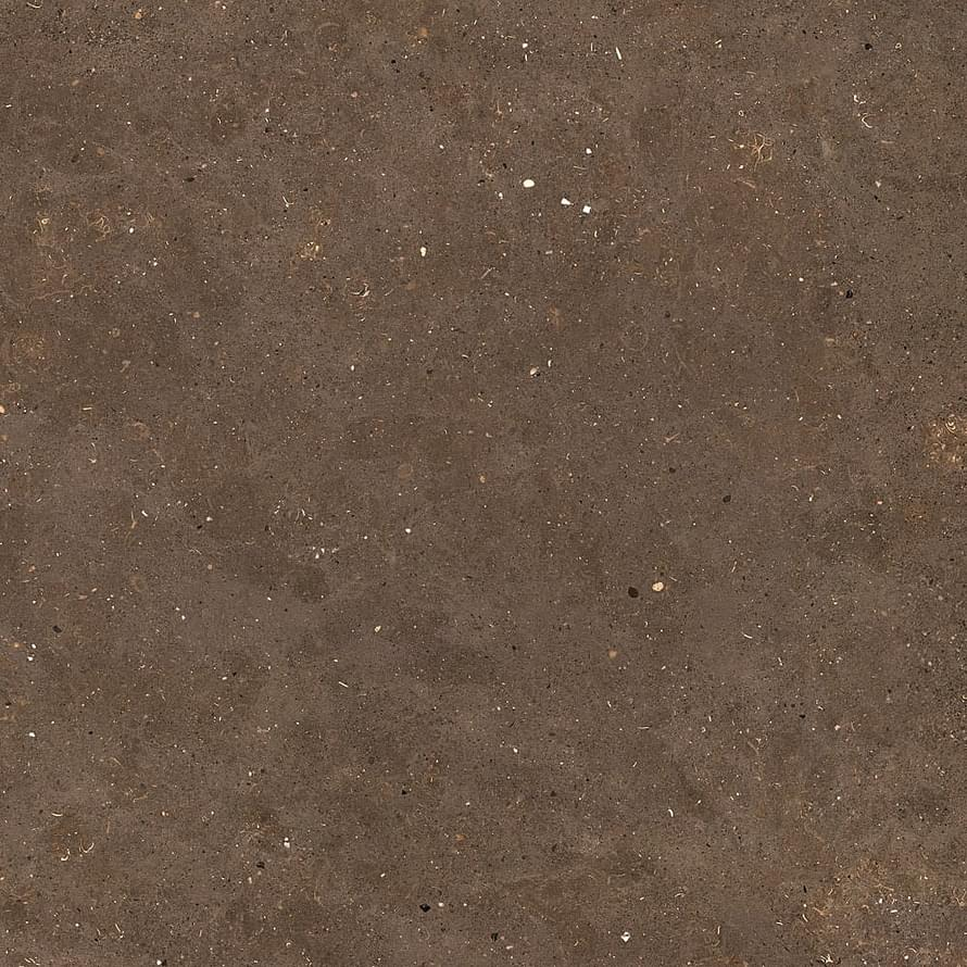 Graniti Fiandre Solida Brown Strutturato 60x60