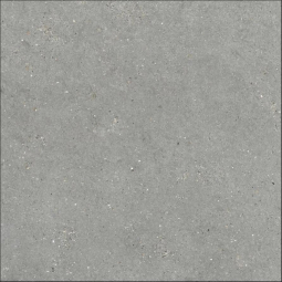 Grespania Mitica Gris 120x120