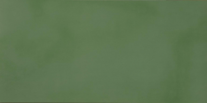 Casalgrande Padana R-Evolution Green 10 Mm 30x60