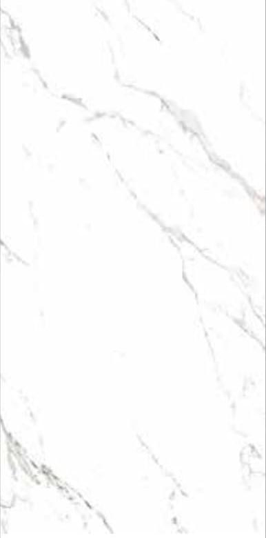 Casalgrande Padana Marmoker Statuario Grigio Lucido B 118x236