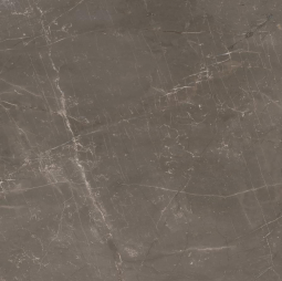 Panaria Trilogy Sky Smoke Lux Rect 60x60