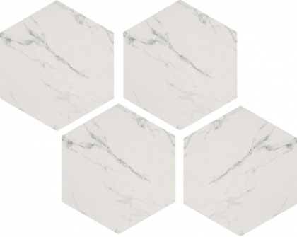Casalgrande Padana Marmoker Esagoni Statuario Grigio Lucido 21.5x25