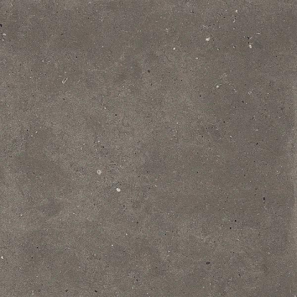 Graniti Fiandre Fjord Brown Honed 60x60