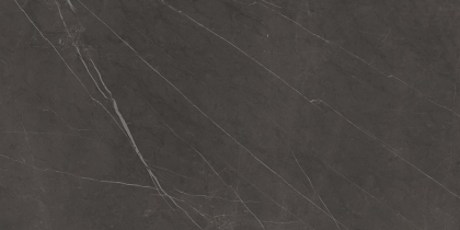 Graniti Fiandre Marble Active Pietra Grey 60x120