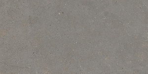 Graniti Fiandre Solida Grey Honed 60x120