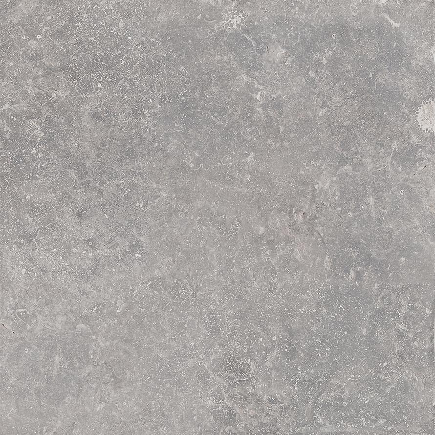 Cerdomus Nordenn Grigio Rettificato 60x60