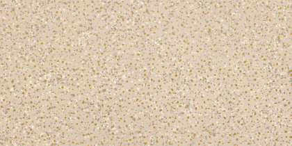 Imola Parade Prde Dk 12W Lv 60x120