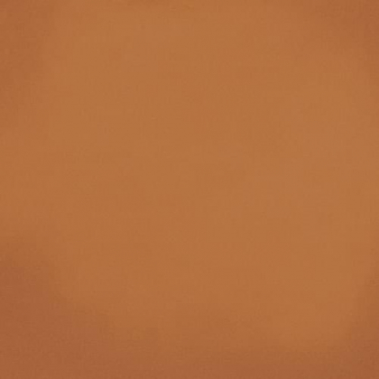 Vives Barnet Cuero 31.6x31.6